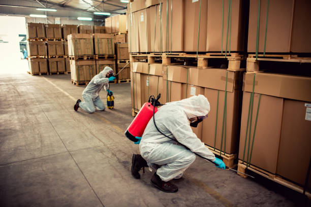 Best Affordable Pest Control Services  in Garnet, CA