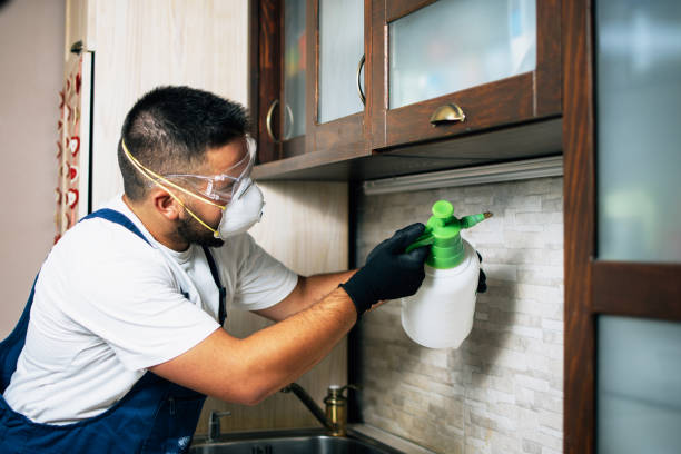 Best Pest Removal Services  in Garnet, CA