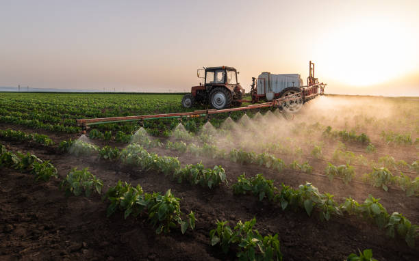 Best Ant Control Services  in Garnet, CA