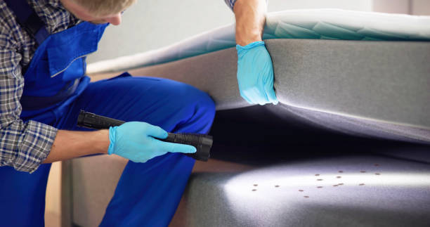 Best Emergency Pest Control  in Garnet, CA