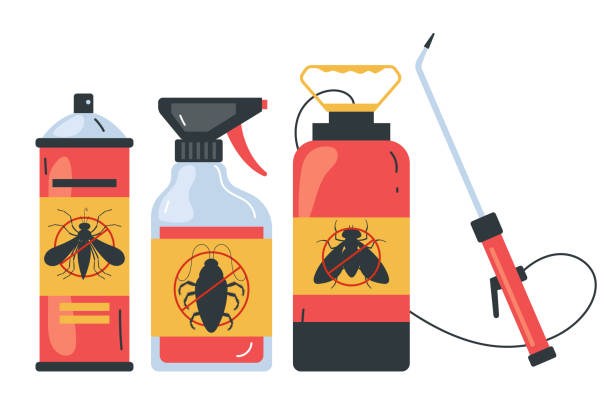 Best Termite Control Services  in Garnet, CA